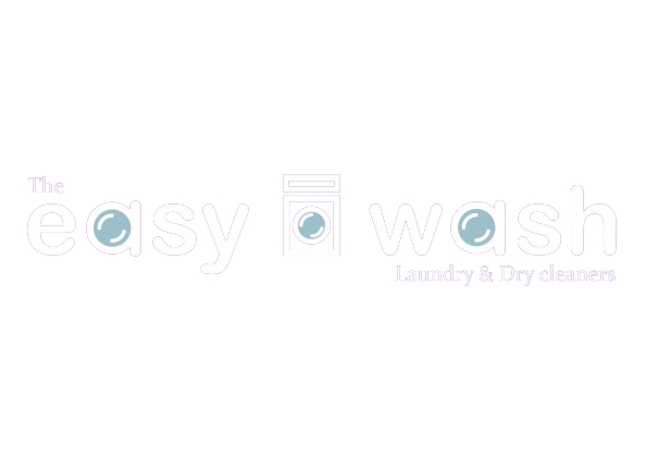 Easy Wash Logo